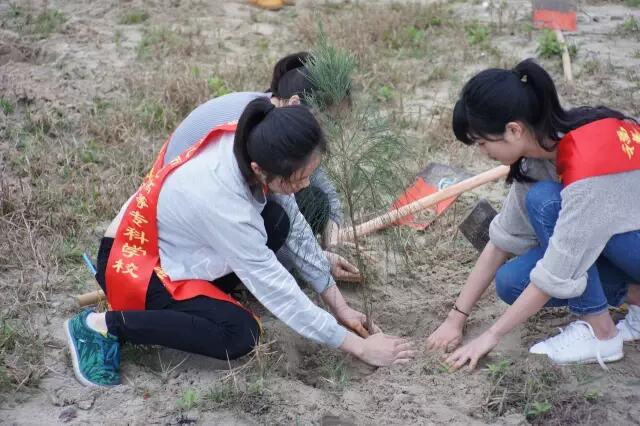 我校青年志愿者参加平潭植树活动
